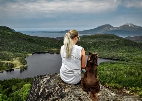Pes a koupání v přírodě: Poradíme vám, jak v létě bezpečně ochladit vašeho psa.