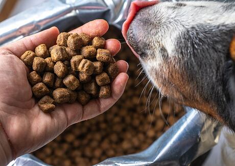 Složení psích granulí a jak jej správně číst