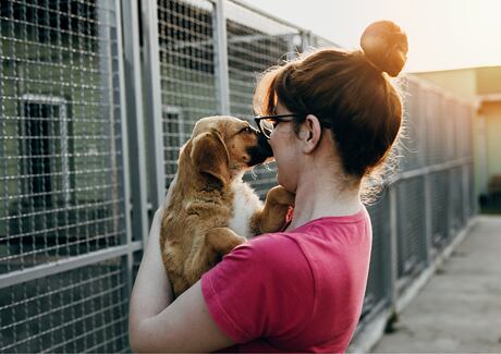 Co byste měli vědět před tím, než adoptujete psa
