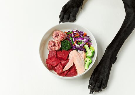 Barf pro psy: 5 nejčastějších chyb