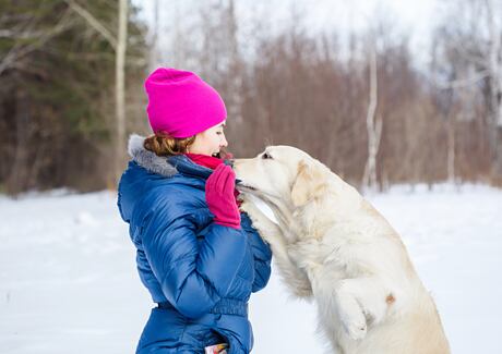 Jak si užít zimní procházky se psem?