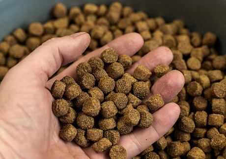 Jak správně skladovat granule?