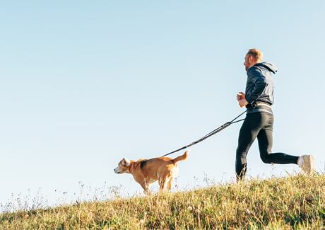 Canicross: Psí sport, který vás společně dostane do formy.