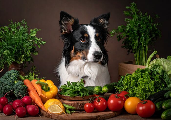 Jakou zeleninu může pes bez rizika? Přehled vhodných druhů