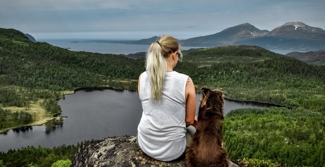 Pes a koupání v přírodě: Poradíme vám, jak v létě bezpečně ochladit vašeho psa.