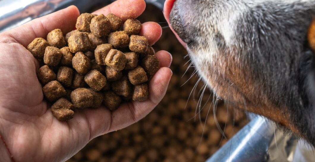 Složení psích granulí a jak jej správně číst