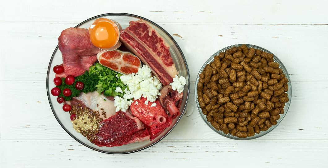 Čím krmit psa: Od granulí po barf?
