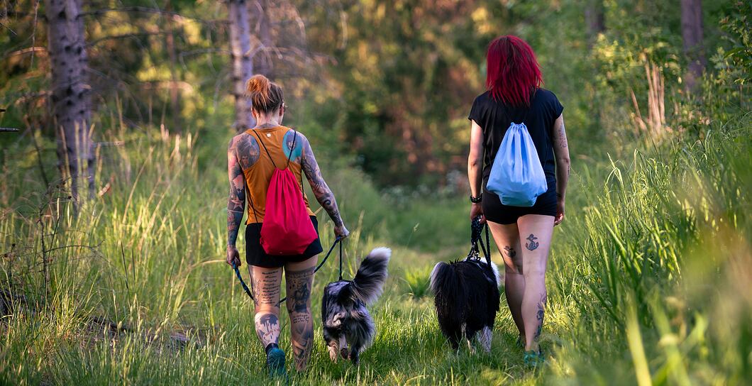 Cestování se psem - co byste před výletem s vaším mazlíčkem měli vědět?