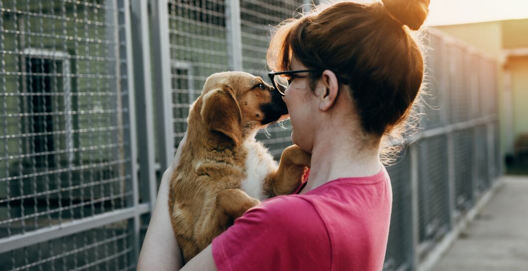 Co byste měli vědět před tím, než adoptujete psa