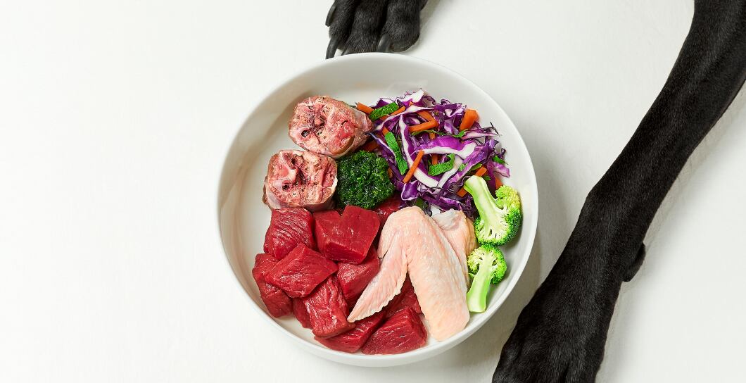 Barf pro psy: 5 nejčastějších chyb