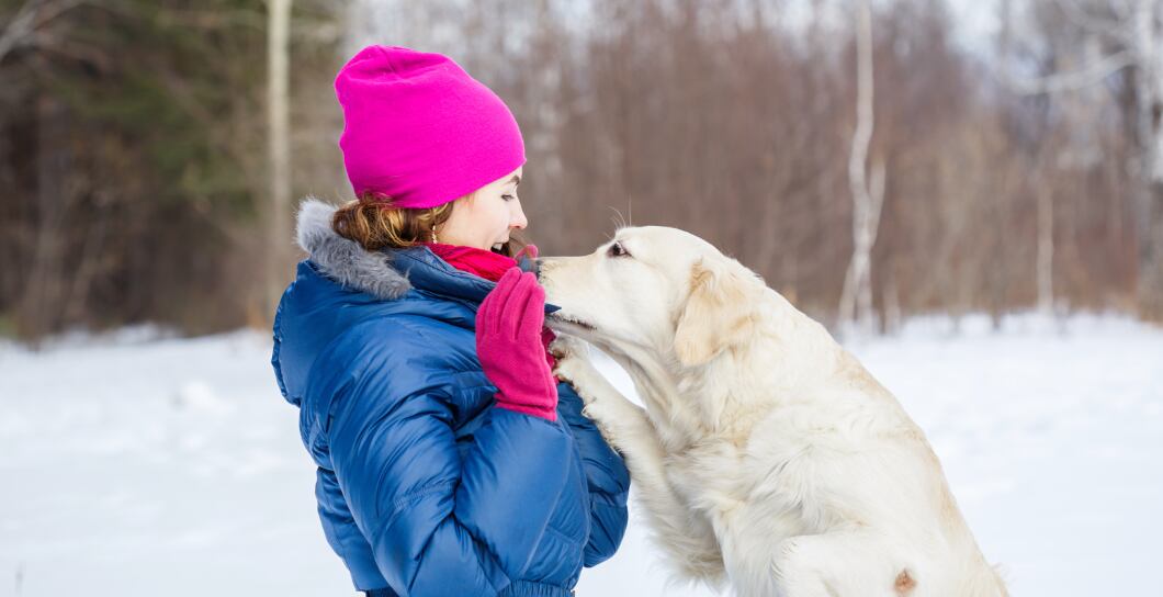 Jak si užít zimní procházky se psem?