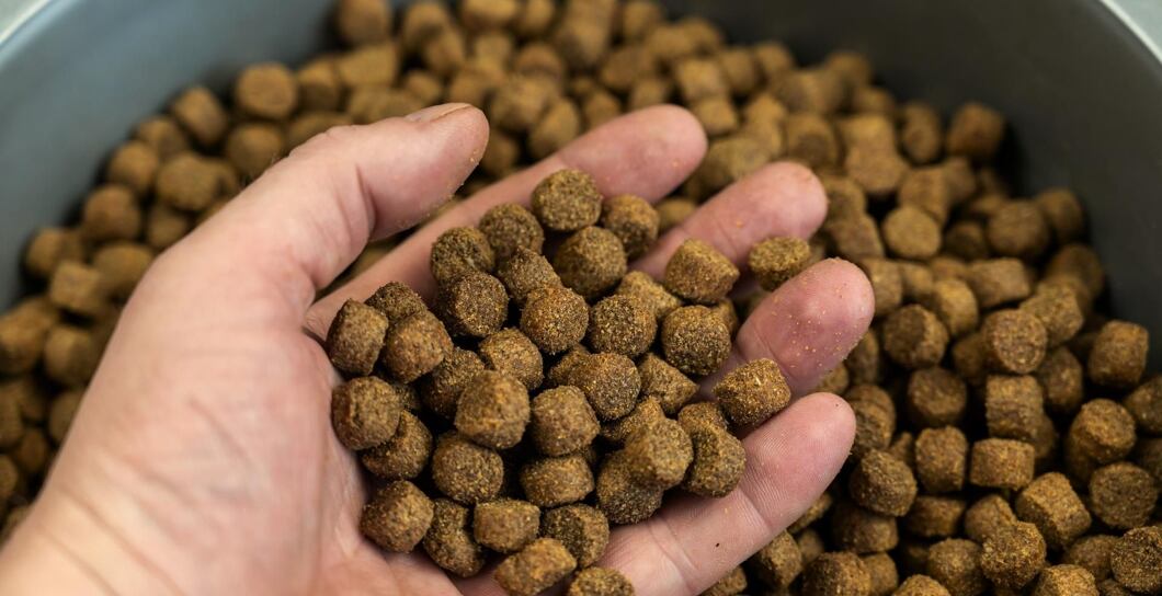 Jak správně skladovat granule?