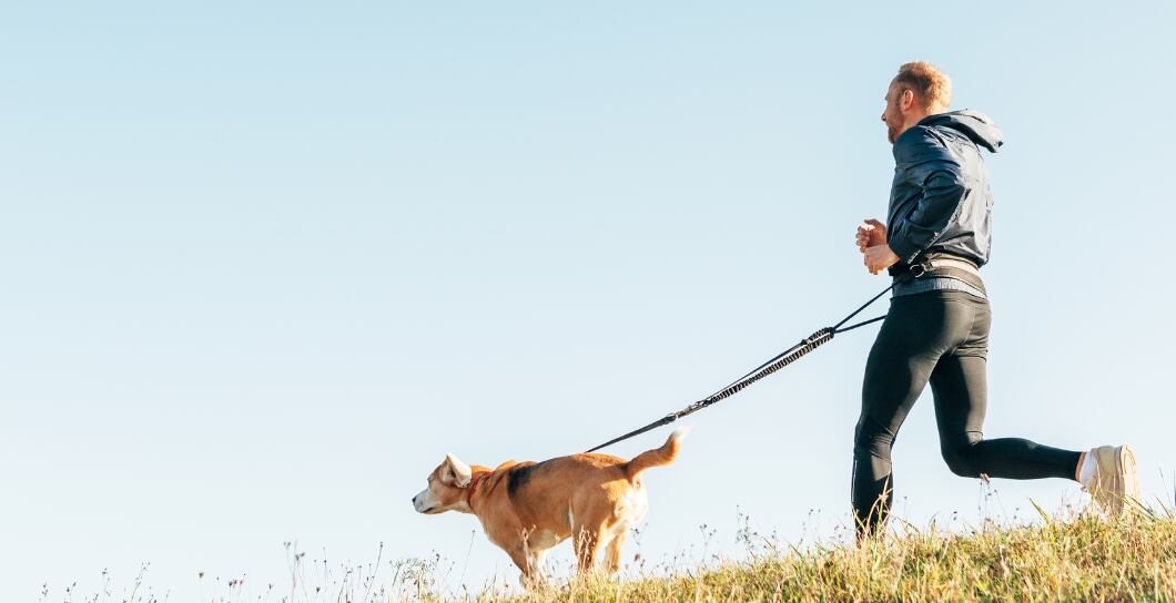 Canicross: Psí sport, který vás společně dostane do formy.