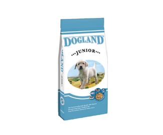 Dogland Junior