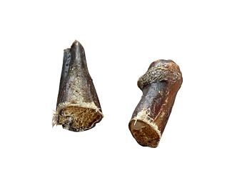 Koňský penis