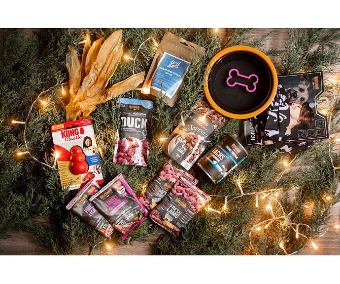 Vánoční balíček pro malého psa