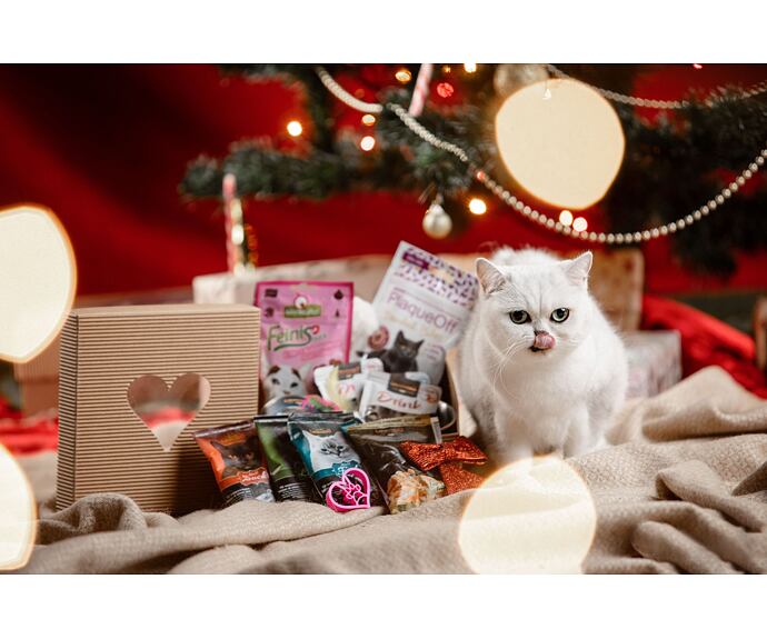 Vánoční balíček pro kočku