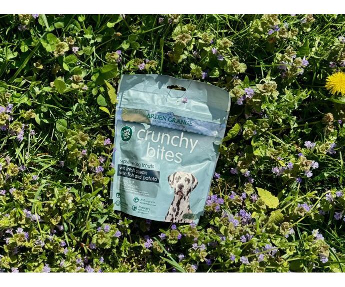 Zdravé pamlsky pro psy Arden s rybou