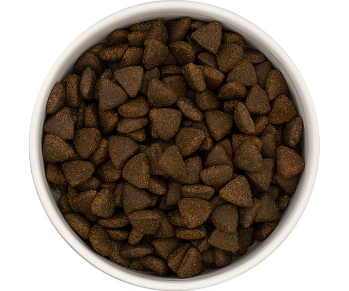 Best Breeder DELUXE Dog Scottish Salmon Adult