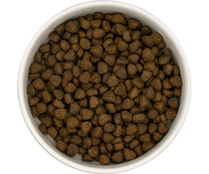 Best Breeder DELUXE Dog Angus Beef Small Breed Adult