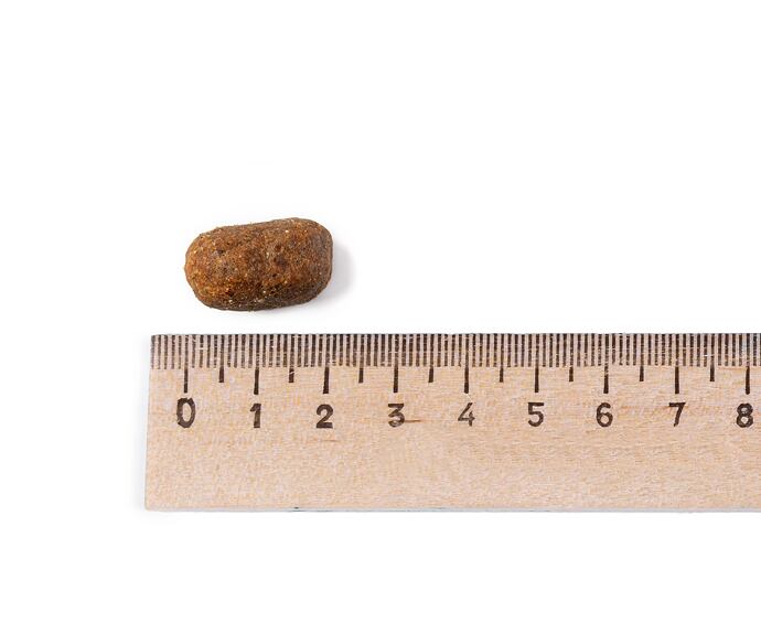 Belcando Adult GF Horse