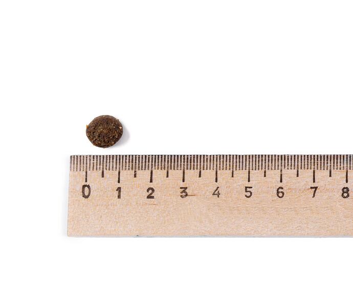 Belcando Finest Croc