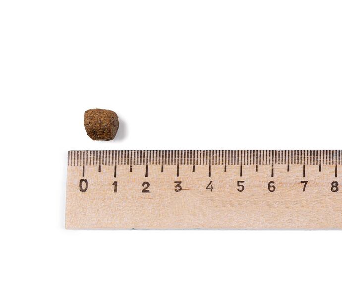 Best Breeder Grain Free Puppy Salmon with Haddock & Blue Whiting, Sweet Potato and Asparagus