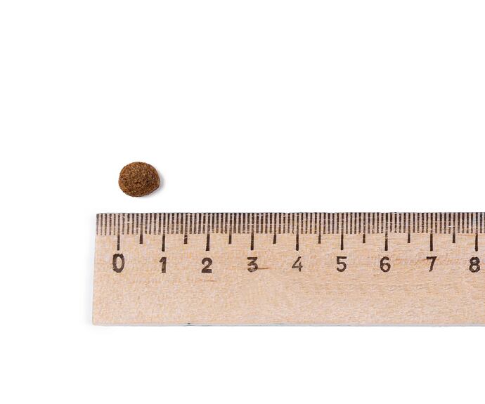 Best Breeder Grain Free Small Breed Chicken, Sweet Potato & Herb