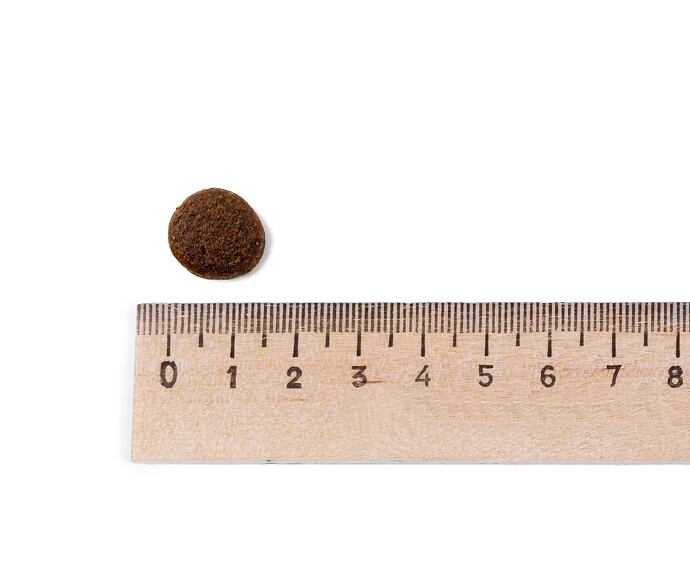 Best Breeder Grain Free Venison, Sweet Potato & Mulberry