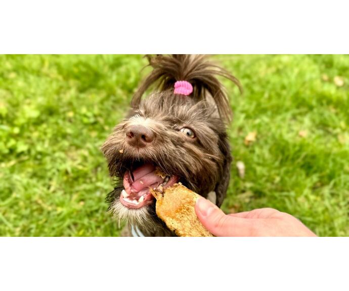 Sušené pamlsky jehněčí plíce