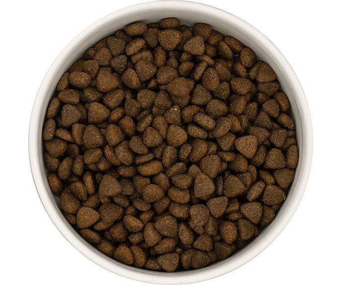 Best Breeder DELUXE Dog Free Range Turkey Small Breed Senior