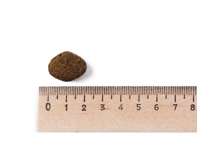 Best Breeder Adult Salmon & Potato