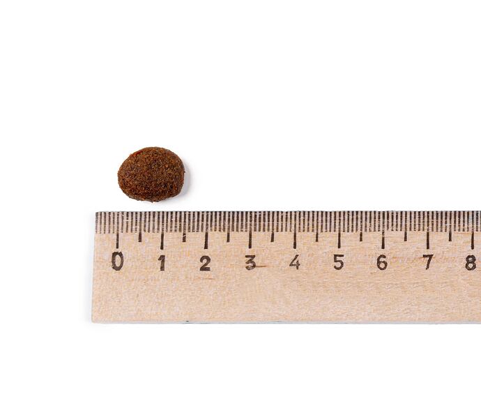 Best Breeder Grain Free Chicken, Sweet Potato & Herb