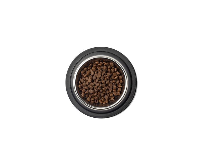 Best Breeder Grain Free Small Breed Salmon with Trout, Sweet Potato & Asparagus