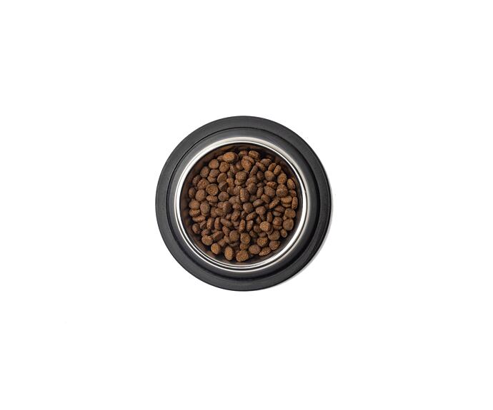 Best Breeder Grain Free Adult Cat Freshly Prepared Salmon