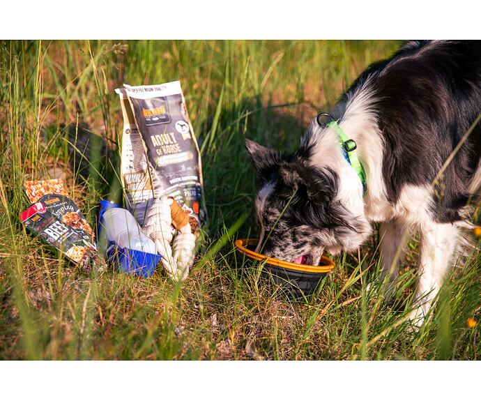 Cestovní balíček pro psy s přetahovacím lanem