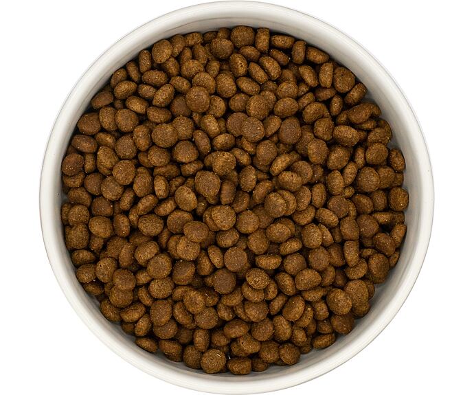 Best Breeder DELUXE Cat Turkey & Chicken Kitten