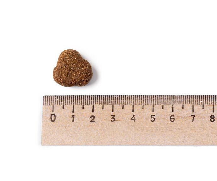 Belcando Adult GF Poultry