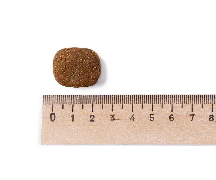 Belcando Adult GF Ocean