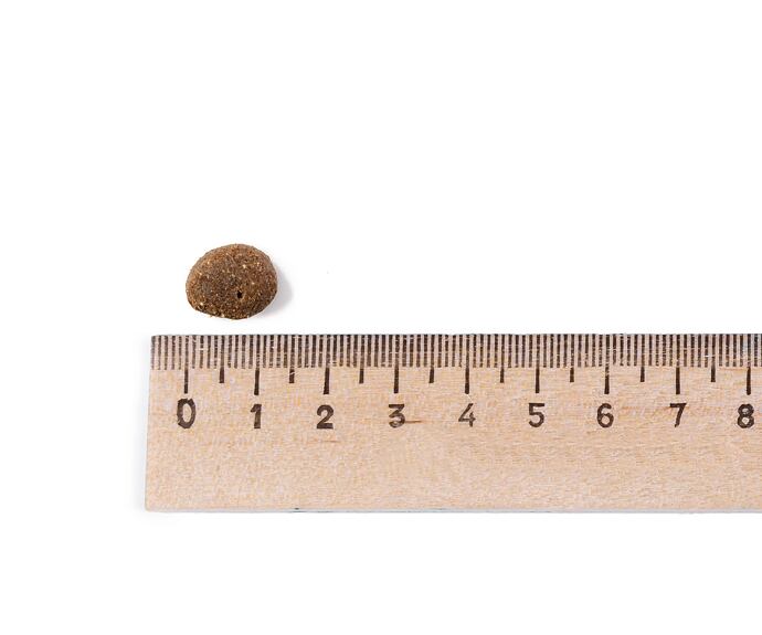 Belcando Finest GF Senior