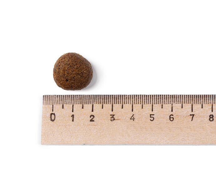 Best Breeder Grain Free Large Breed Turkey, Sweet Potato & Cranberry