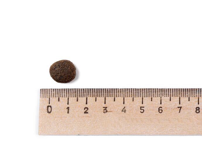 Best Breeder Grain Free Salmon, Trout, Sweet Potato & Asparagus