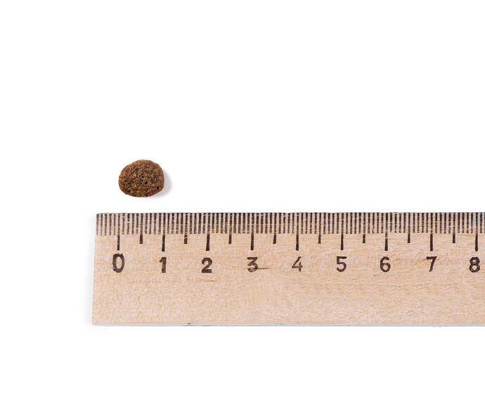 Best Breeder Grain Free Small Breed Salmon with Trout, Sweet Potato & Asparagus