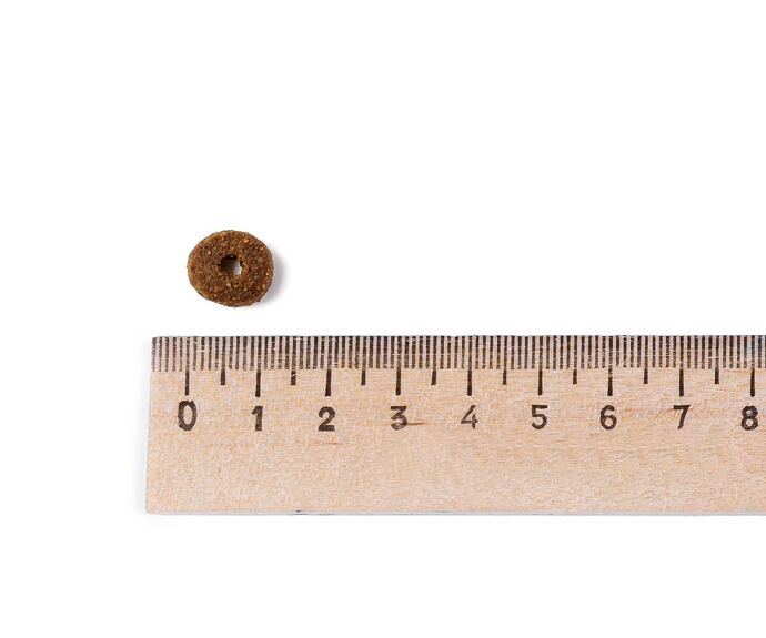 Leonardo Adult complete 32/16