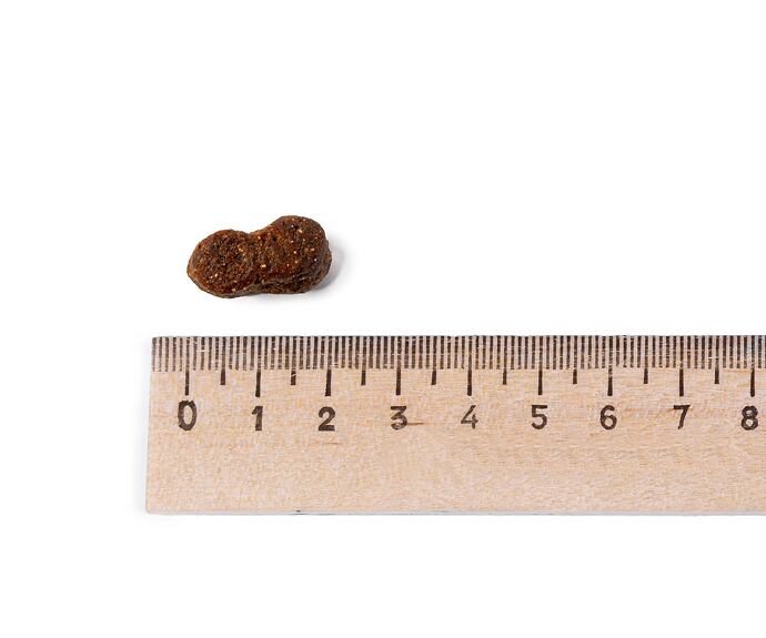 Leonardo Adult GF Maxi