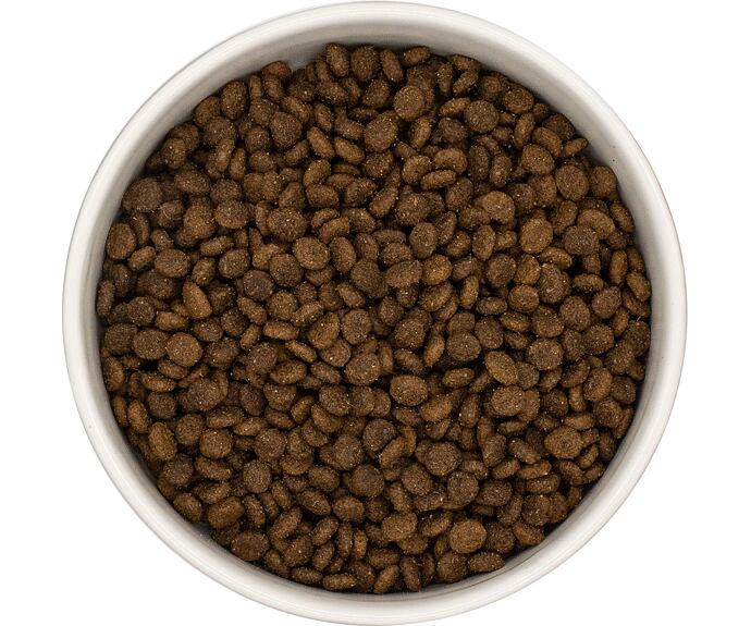 Best Breeder Grain Free Small Breed Lamb, Sweet Potato & Mint