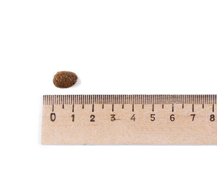 Belcando Puppy GF Poultry