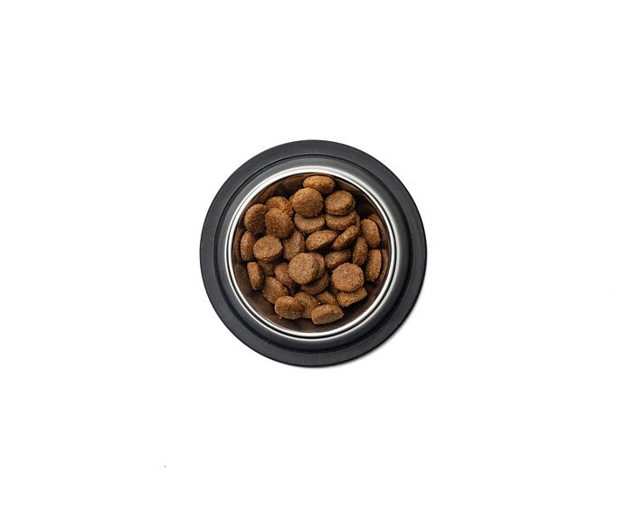 Best Breeder Adult Large Breed Chicken & Rice