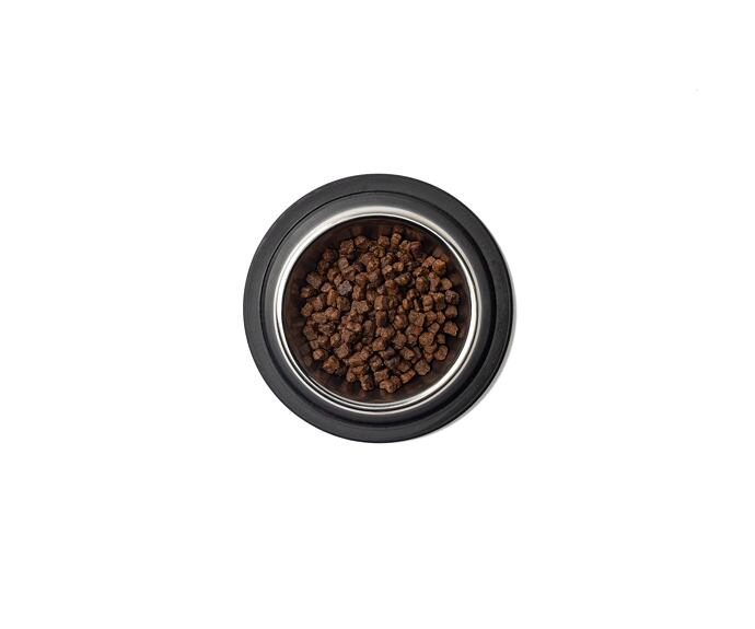 Leonardo Kitten rich in Chicken