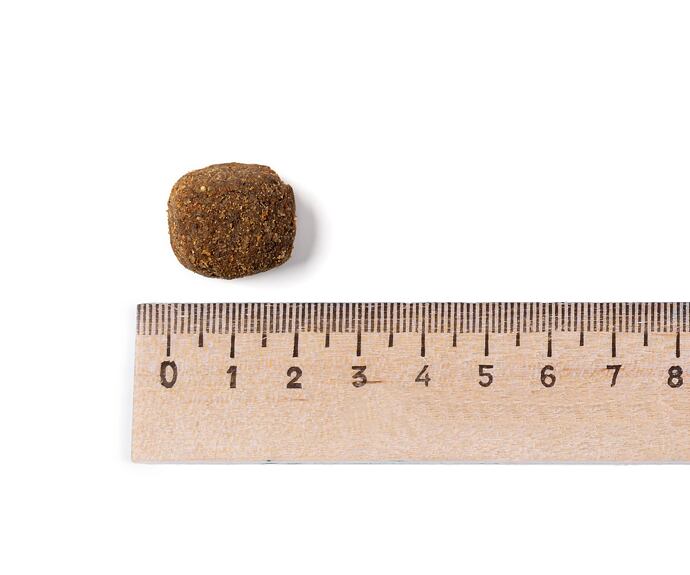 Belcando Adult Active